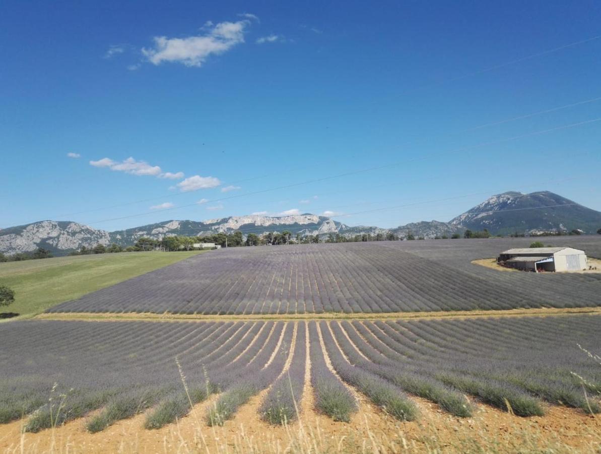 Flayosc Le Clos En Provence المظهر الخارجي الصورة