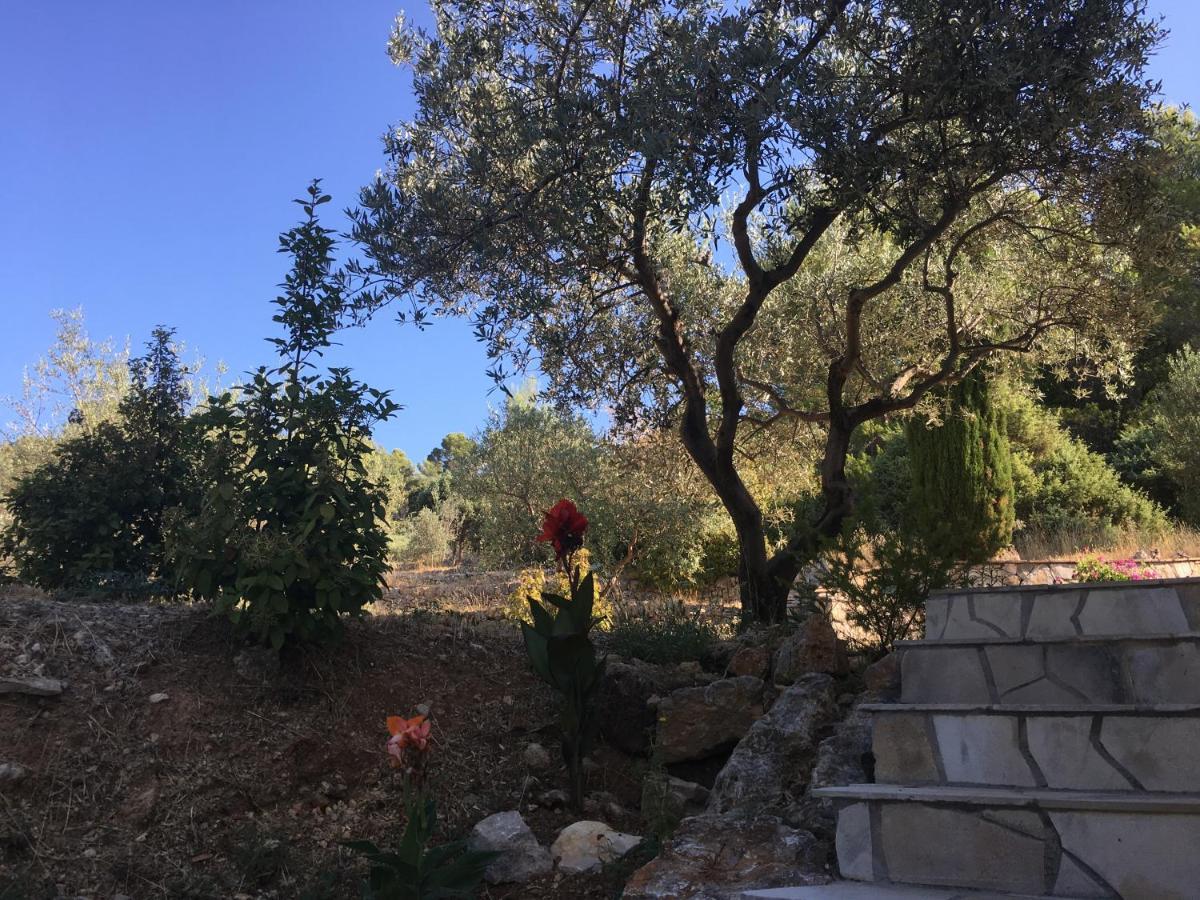 Flayosc Le Clos En Provence المظهر الخارجي الصورة