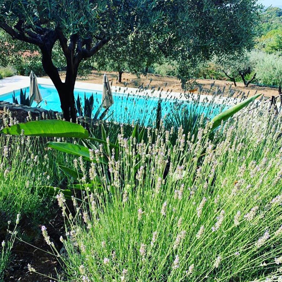 Flayosc Le Clos En Provence المظهر الخارجي الصورة