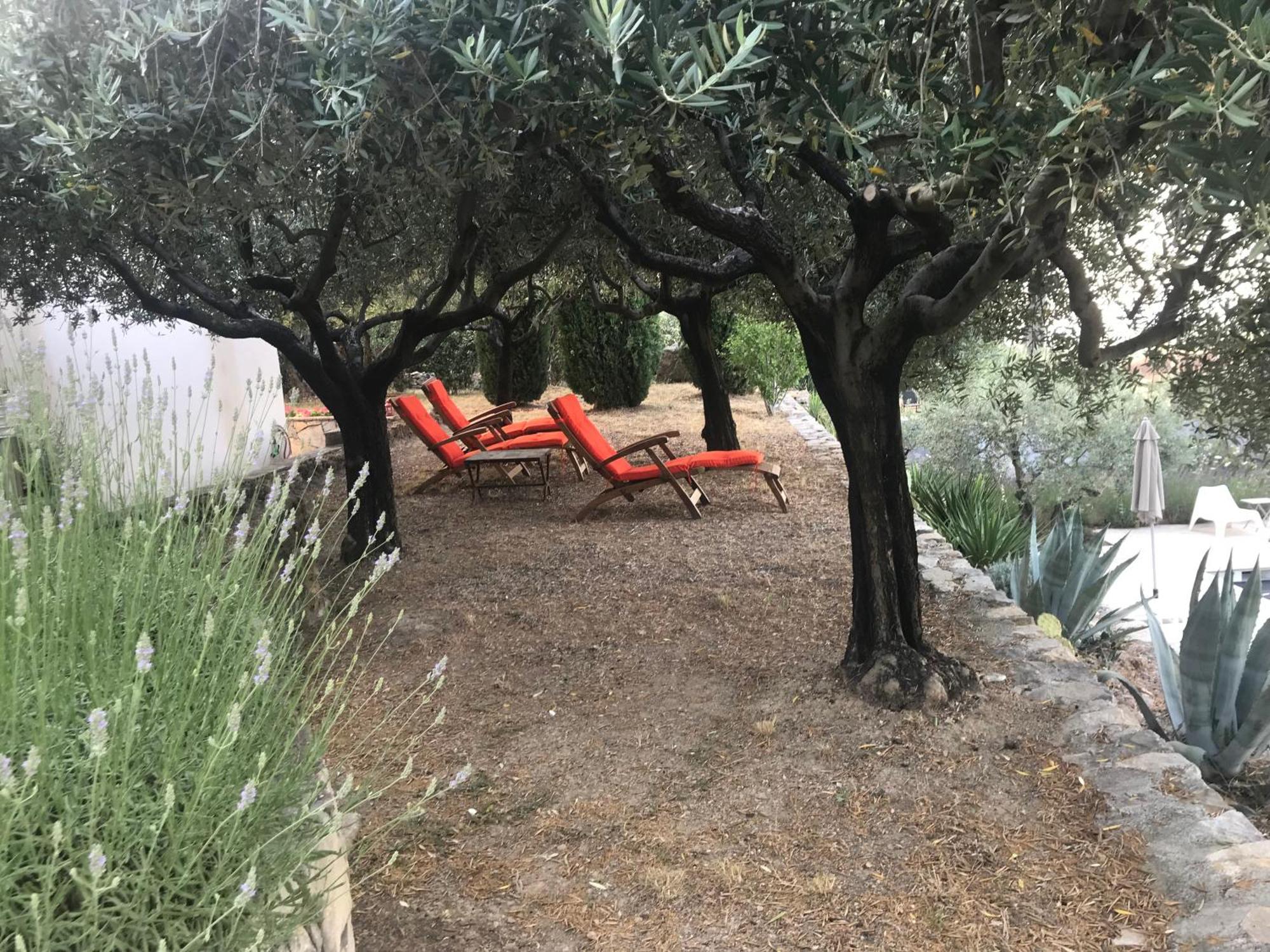 Flayosc Le Clos En Provence الغرفة الصورة